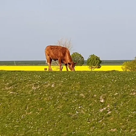 Ferienwohnung Landskron *